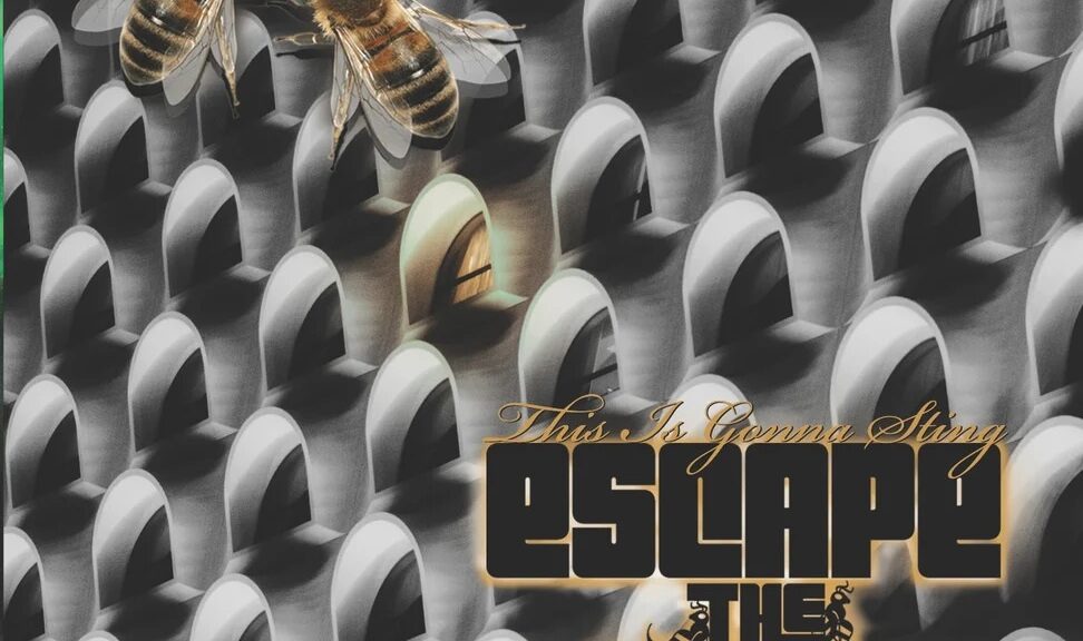 Interview With Michael Thomas Beck From Escape The Hive