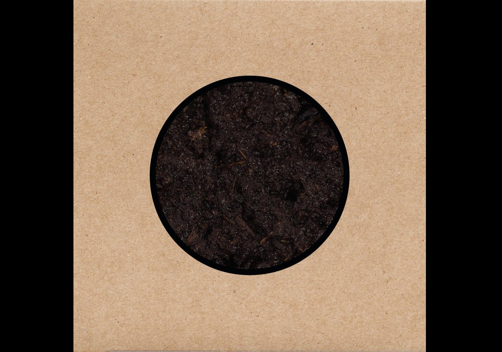Swans Announce North American Tour And New Album "Birthing"