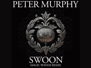 Peter Murphy's "Swoon" Get Electric Remix By Magic Wands