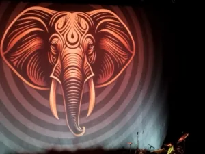 BEAT Delivers Legendary Performance In Paris