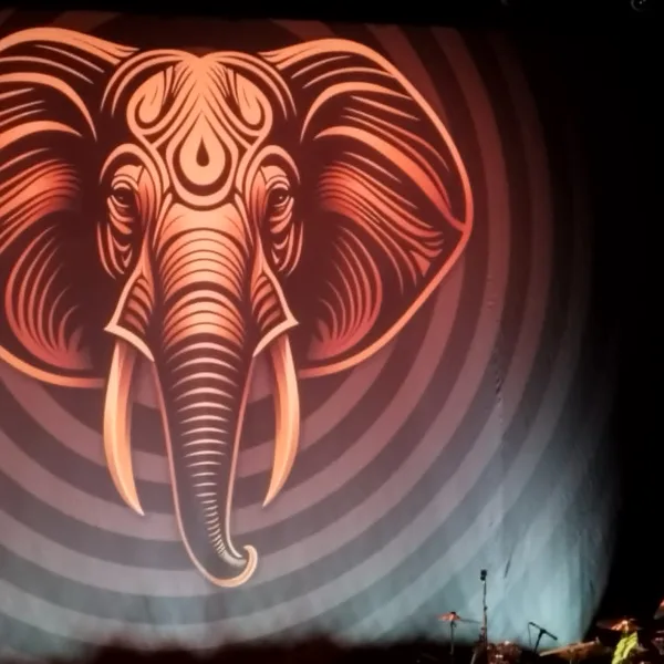 BEAT Delivers Legendary Performance In Paris