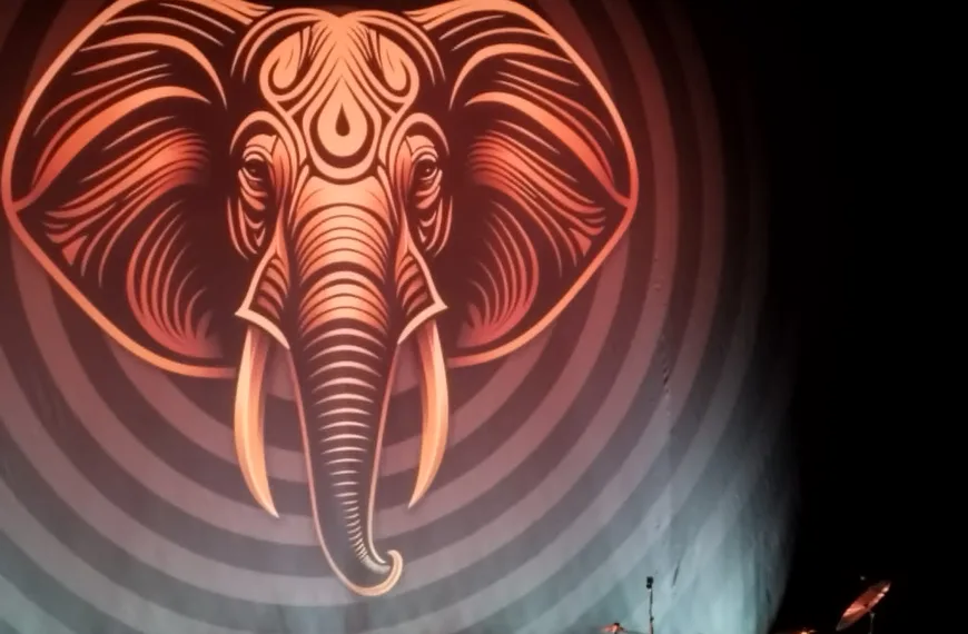 BEAT Delivers Legendary Performance In Paris